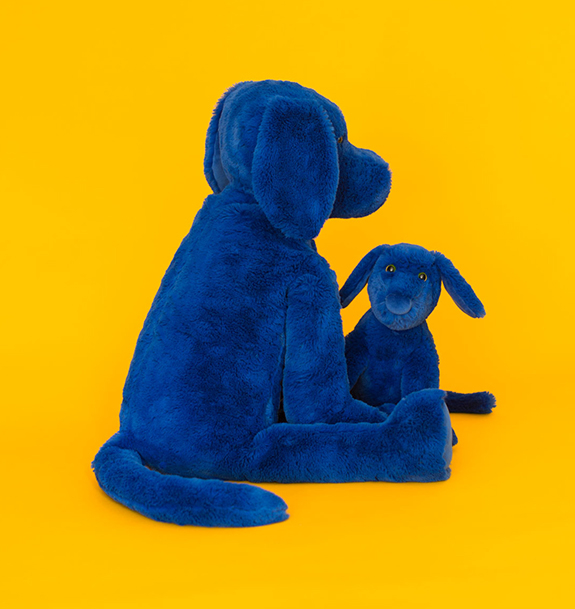 CHIEN-BLEU-JAUNE