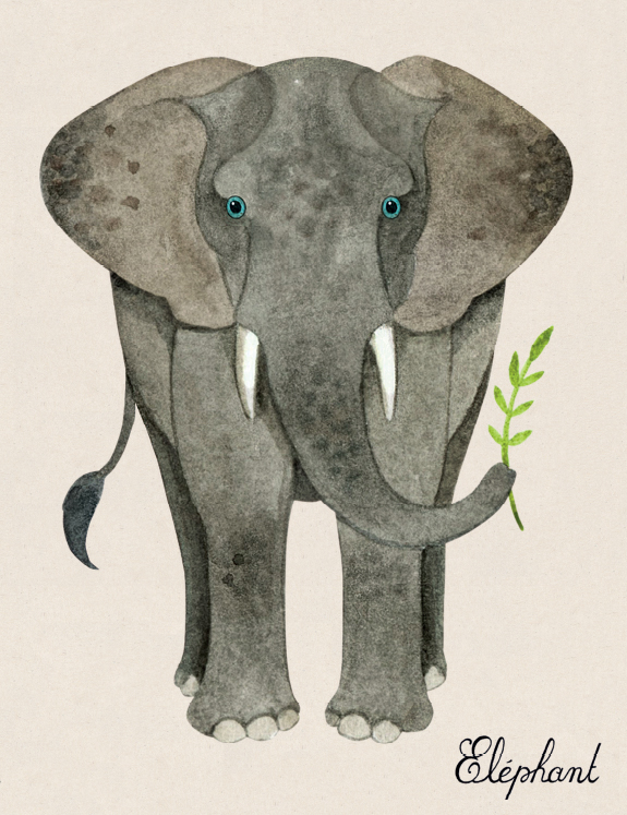 elephant-575x747